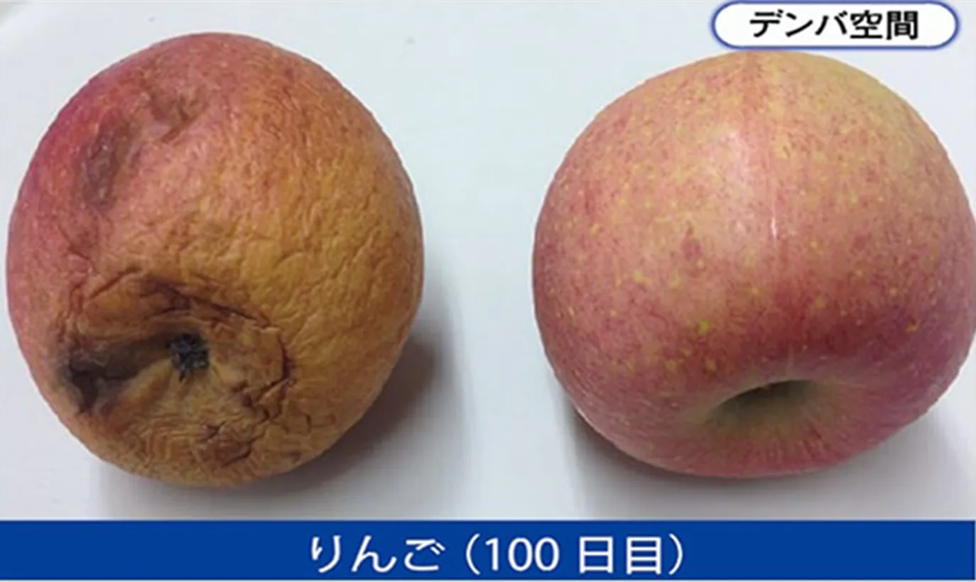 デンバ空間に置いたリンゴと通常のリンゴの比較写真